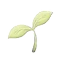 asfora_leaf