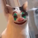 shadow_palyacokedi