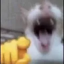 emoji_35