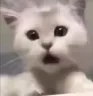 yaa