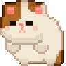 cat_spin