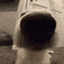nice_balls