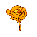 priv_gulum