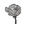 priv_gulum