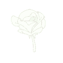 priv_gulum