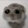 sad