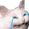 CattoCry_Realife