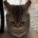 emoji_124
