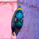 sideeyefish