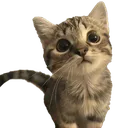 9_
