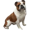 7_
