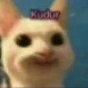 kudurkopek