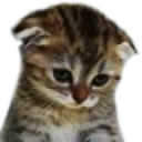emoji_8