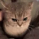 emoji_18