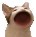 emoji_31