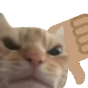 catno