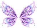 fairy