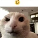 sigma