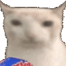 cateat
