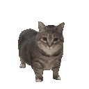 emoji_4