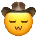 1OwOcowboy