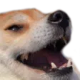Zaaa