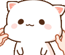 kittysquish