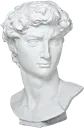 david