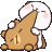 ayicikgif2