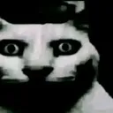 z_catScary