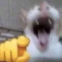 Mudae_mudaeemoji1