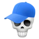 5354skullcap