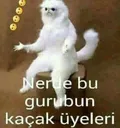 indir5