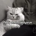 Atsana