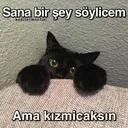 indir3