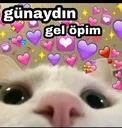 indir2