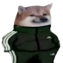 adasdaskedy
