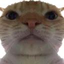 Malmsn