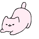 white_ykzmiau