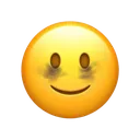 25451tireremoji