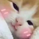 aww84