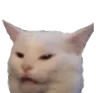 cat2