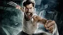 wolverine