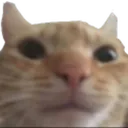 anladm