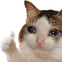 sadkedicik