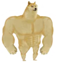 gucludog