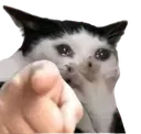 senyaptin