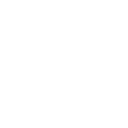 siyahyesilcicekl