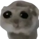 uzgunhamster