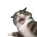 emoji_6